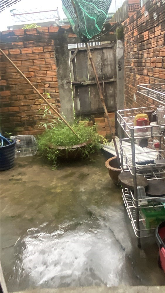 Đăng bởi: NGUYỄN TẦN THẠCH